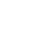 bag_icon